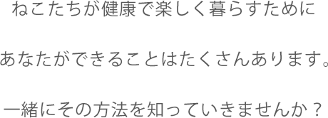 ねこ活。アプリ